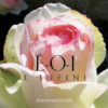 É-O-I l'Infini mp3 - CD