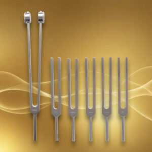 Set Brain Tuner Ondes cérébrales Gamma, Alpha, Thêta, Delta, Bêta
