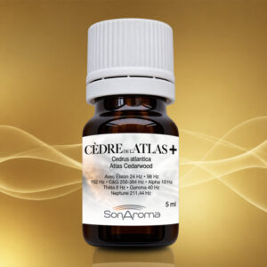 Cèdre de l’Atlas+ (bio) 5 ml