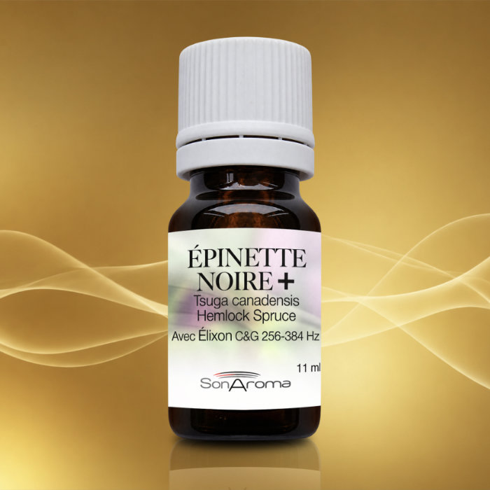 Épinette noire SonAroma Elixon