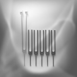 Set Brain Tuner Ondes cérébrales SANS Gamma, avec Alpha, Thêta, Delta, Bêta