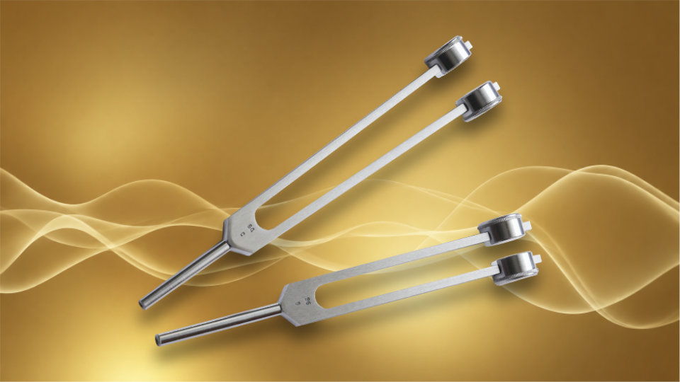 Set diapasons C&G Do-Sol Octave 64-96 Hz