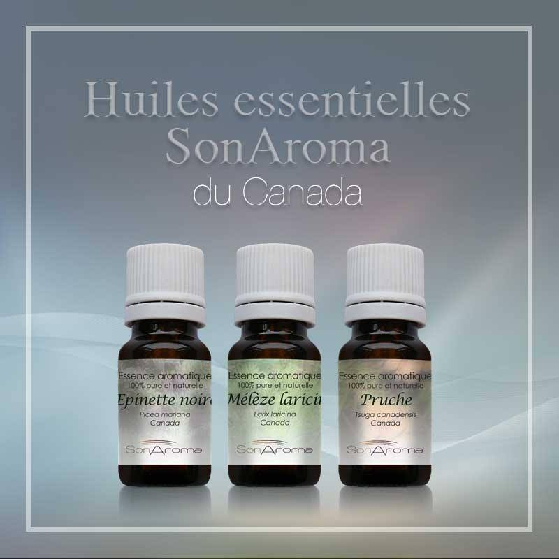 Huiles essentielles Chakras Complexes énergétiques