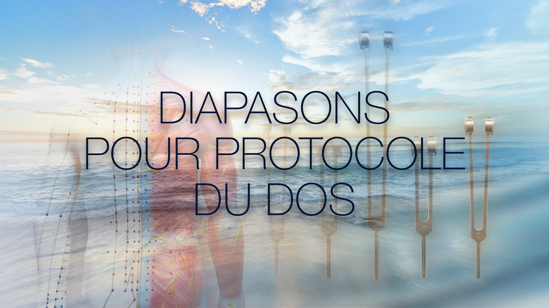 Protocole Dos
